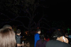 2013-12-20 20-33-58 Trail of Lights.jpg